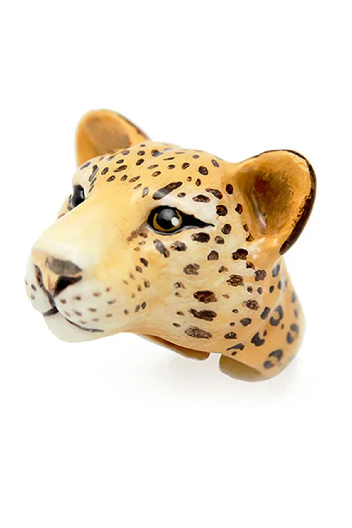 Miniatuur 5