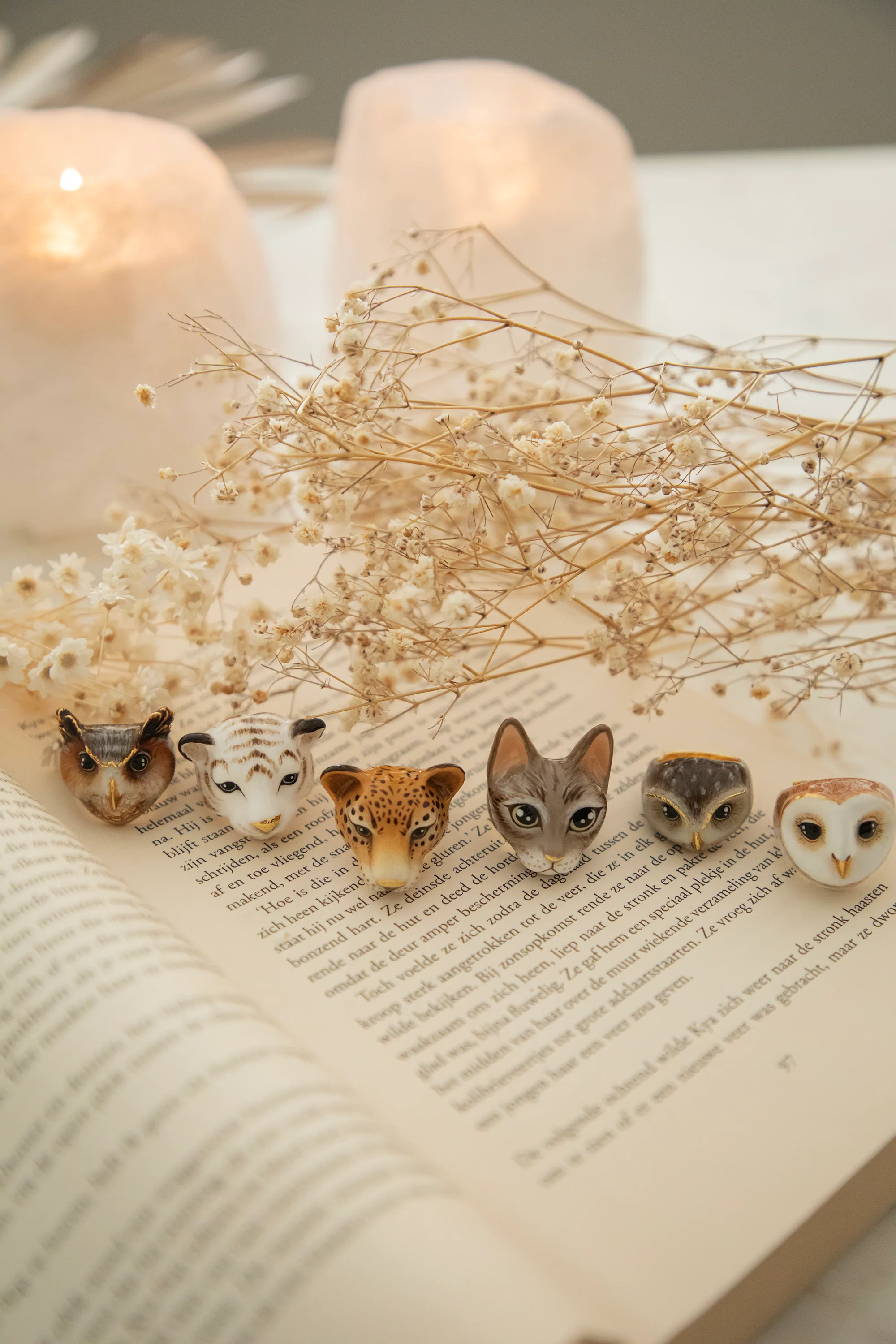 Miniatuur 13