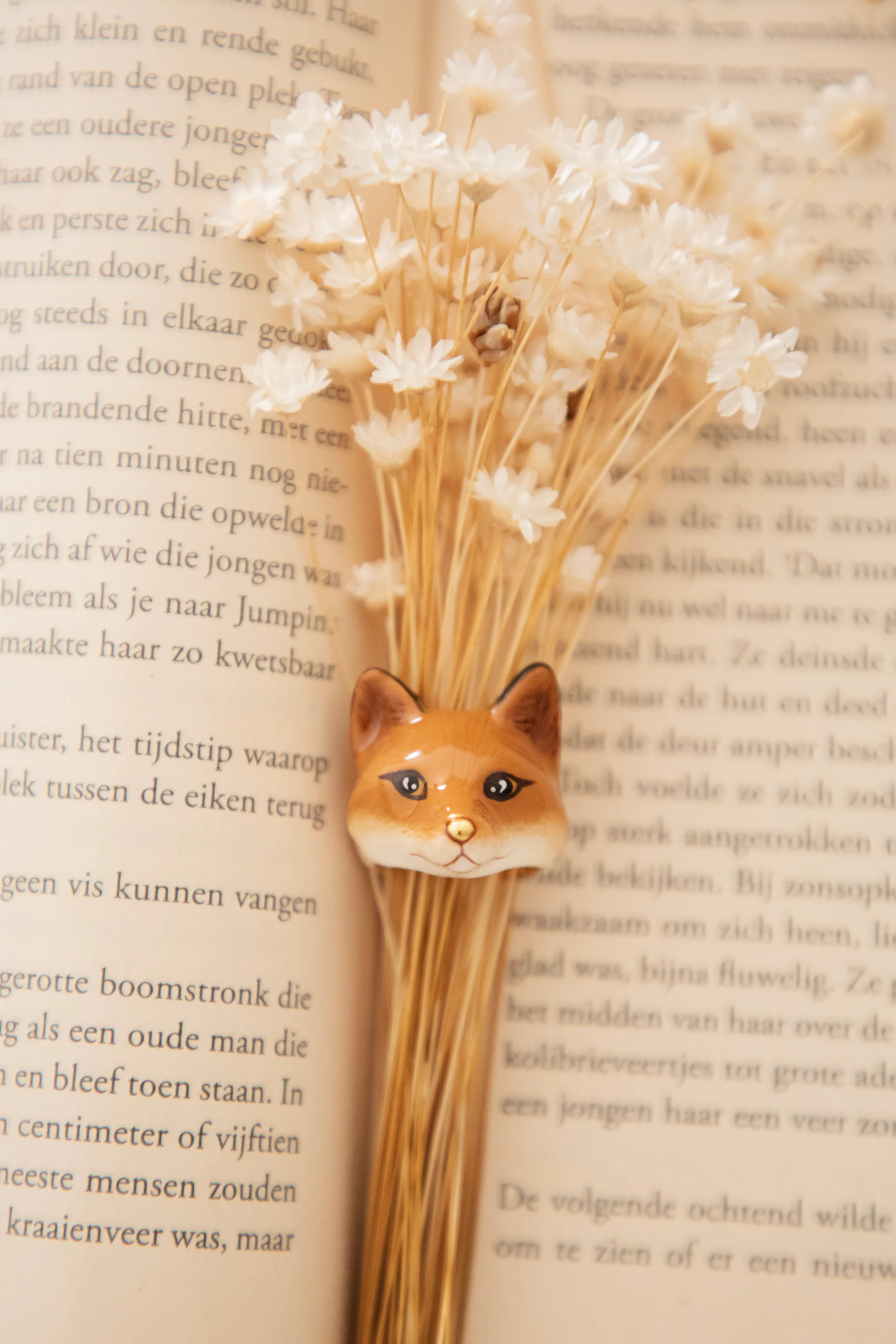 Miniatuur 3